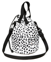 DALMATIAN(ホワイト系2)