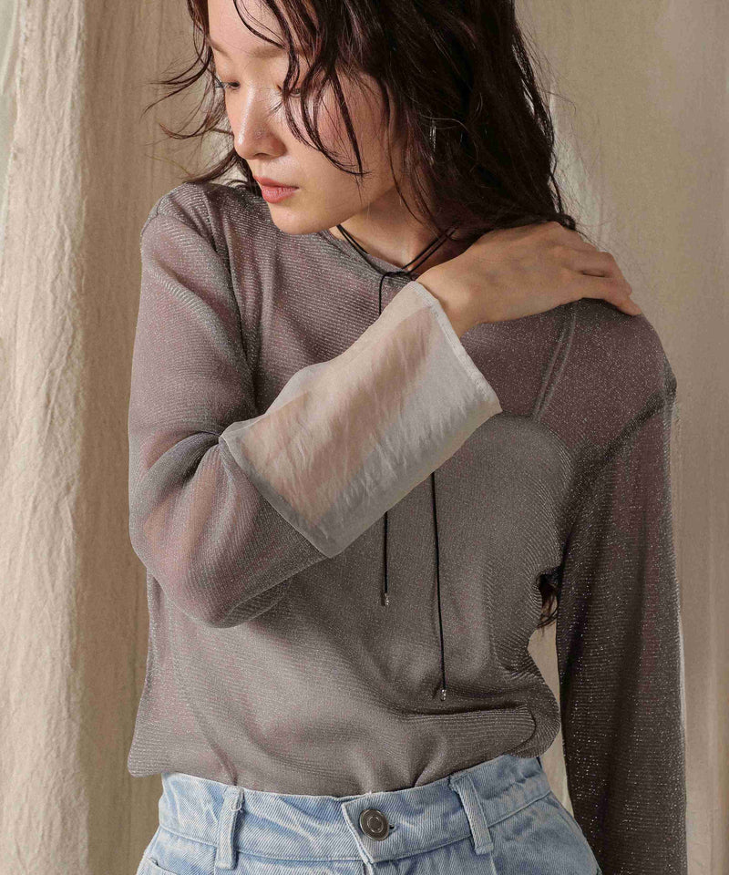 袖シアーラメ ベーシックカットソー トップス