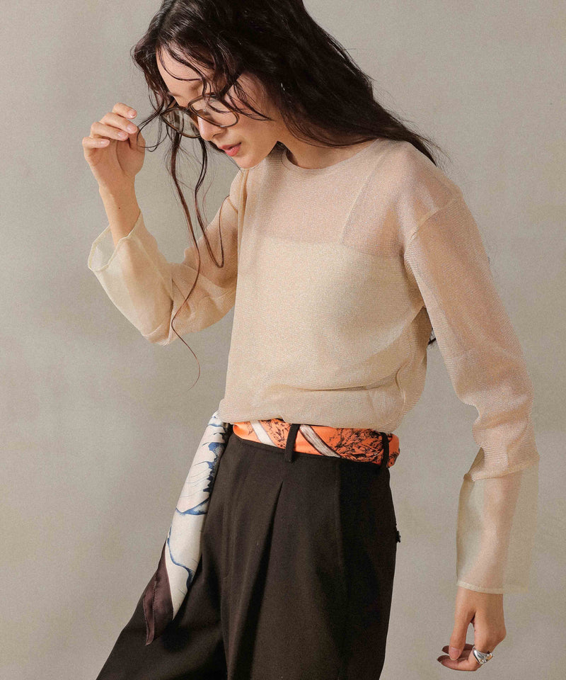 袖シアーラメ ベーシックカットソー トップス