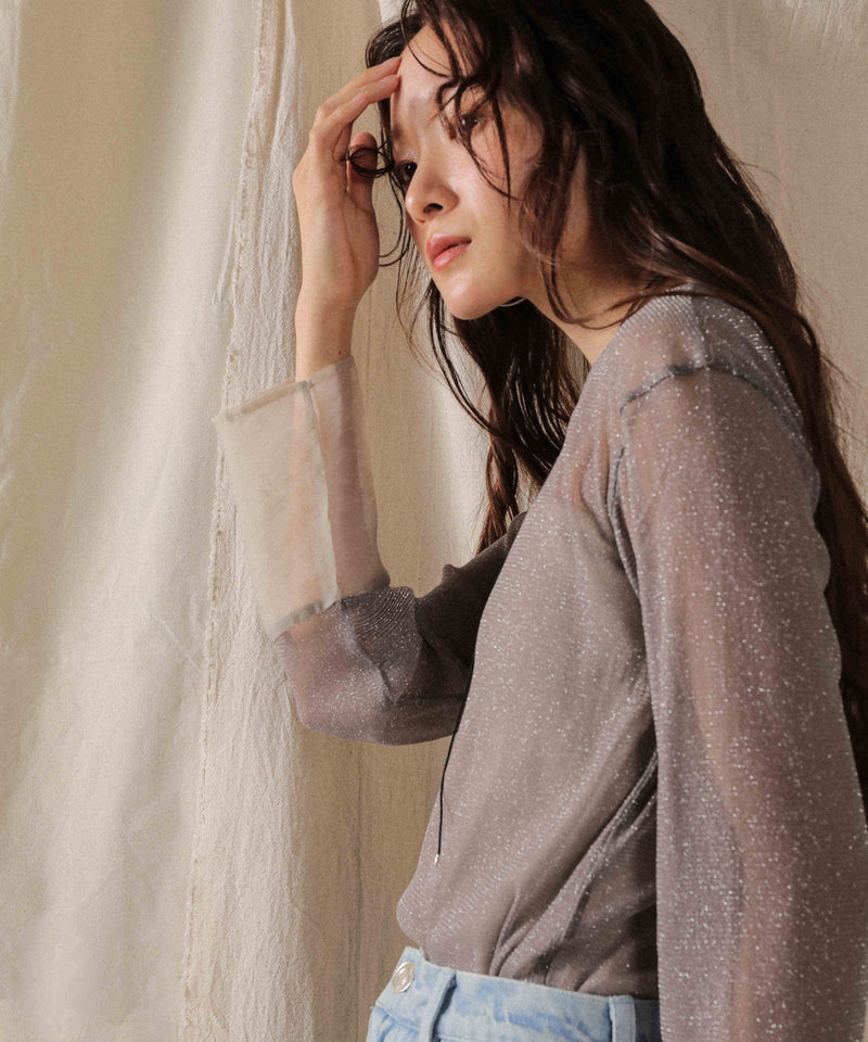 袖シアーラメ ベーシックカットソー トップス