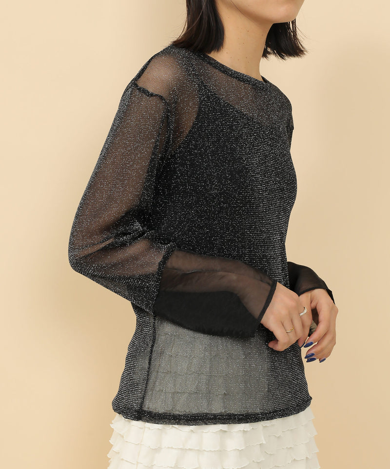 袖シアーラメ ベーシックカットソー トップス