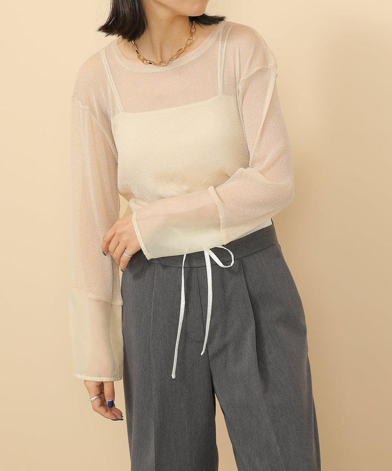 袖シアーラメ ベーシックカットソー トップス
