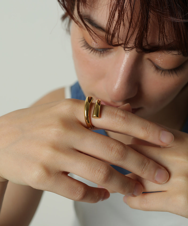 存在感溢れる大胆なデザイン